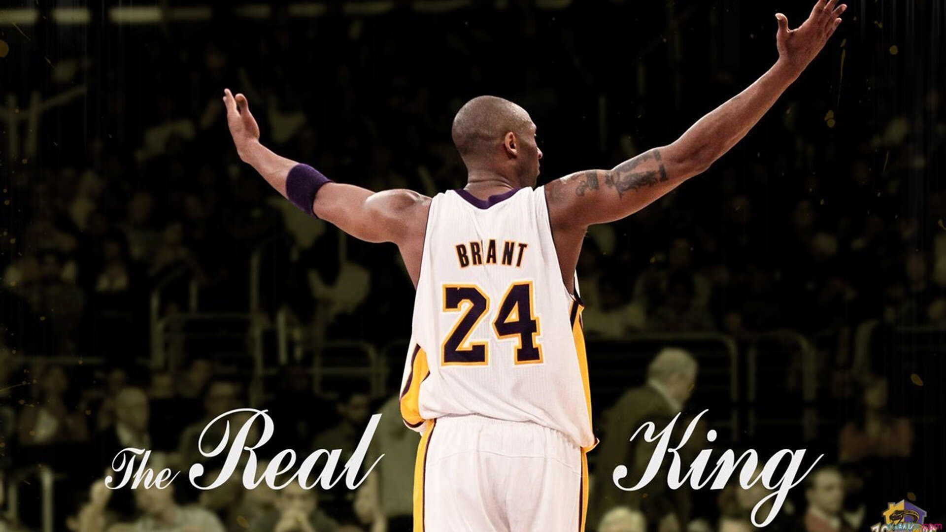 开云体育链接-中国高尔夫青少年体系成果显现成绩稳步提升，中国青少年高尔夫发展计划